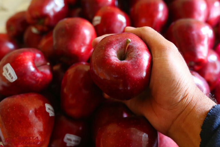 7-buah-aman-dikonsumsi-penderita-diabetes-saat-musim-hujan