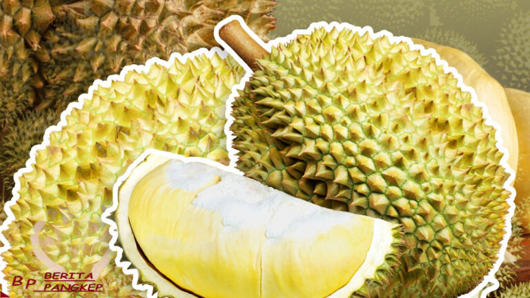 bahaya-jangan-konsumsi-durian-bareng-6-makanan-ini
