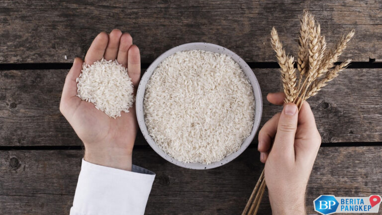 bisnis-beras-makin-moncer-apa-kabar-saham-nasi-dan-hoki