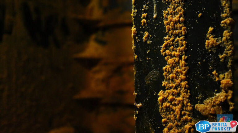 daftar-5-raja-sawit-ri-nomor-1-pernah-jadi-loper-koran