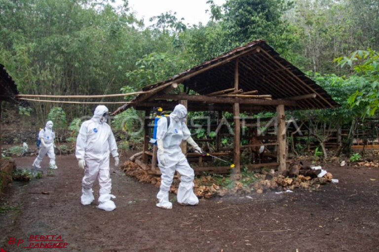 ditemukan-kasus-antraks-di-gunungkidul-begini-respons-pemerintah-daerah