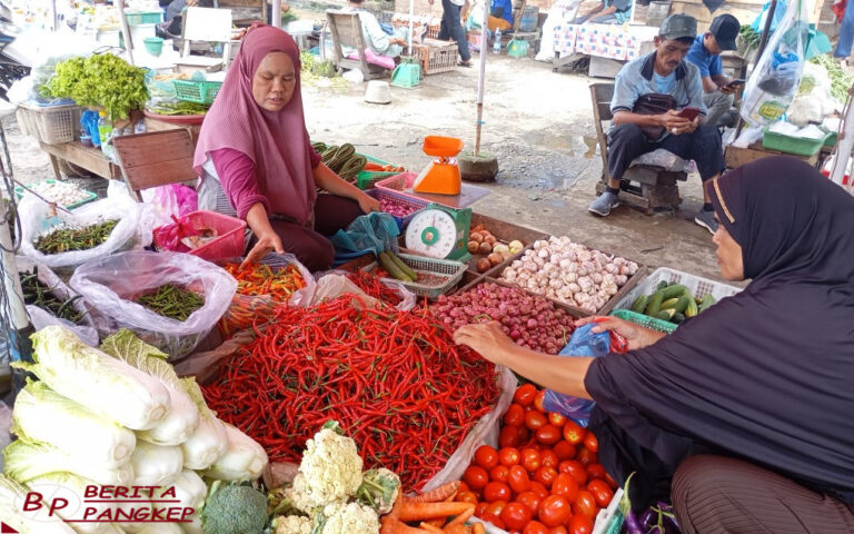 harga-cabai-rawit-masih-pedas-sebegini-per-kilogram