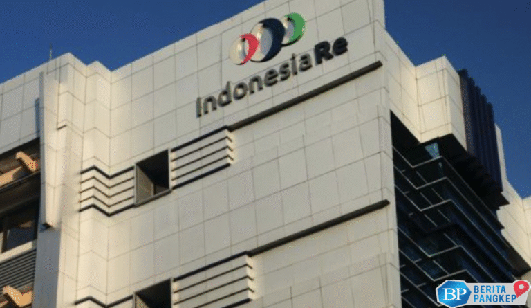 indonesia-re-mau-tambah-modal-buka-opsi-pmn-danantara-hingga-ipo