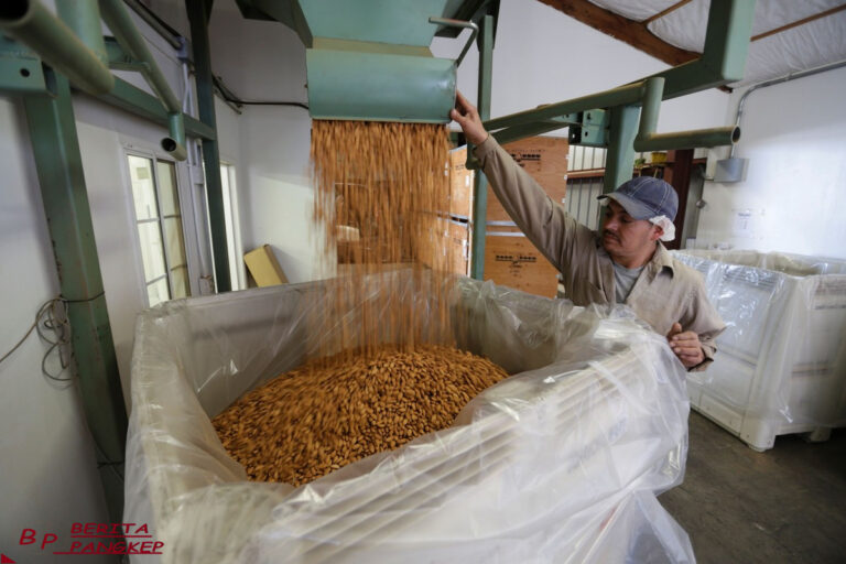 jadi-korban-baru-tarif-pemerintah-california-gugat-donald-trump