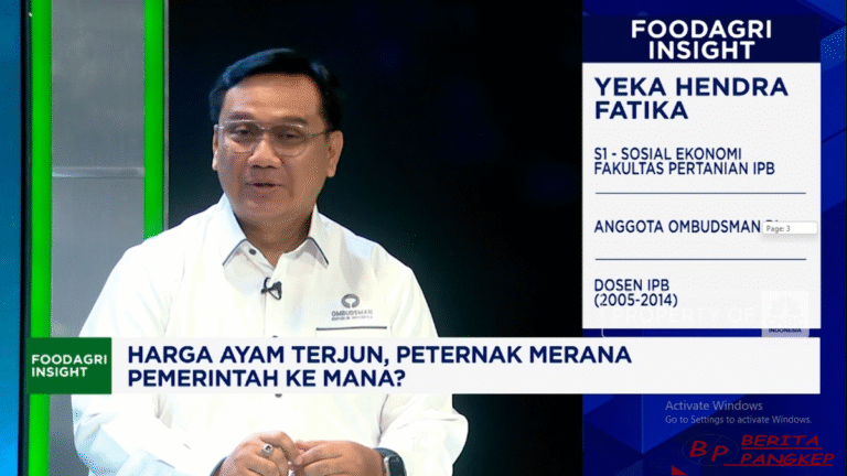 ombudsman-sentil-keras-pemerintah-tunjuk-dosa-rugikan-peternak-ayam