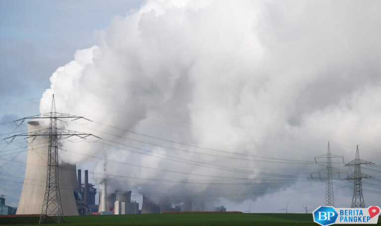 rekor-kapasitas-pembangkit-surya-angin-china-lampaui-pltu-batu-bara