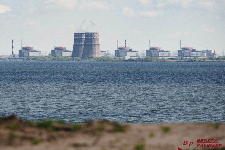ri-siap-bangun-pembangkit-nuklir-di-2030-negara-ini-minat-investasi