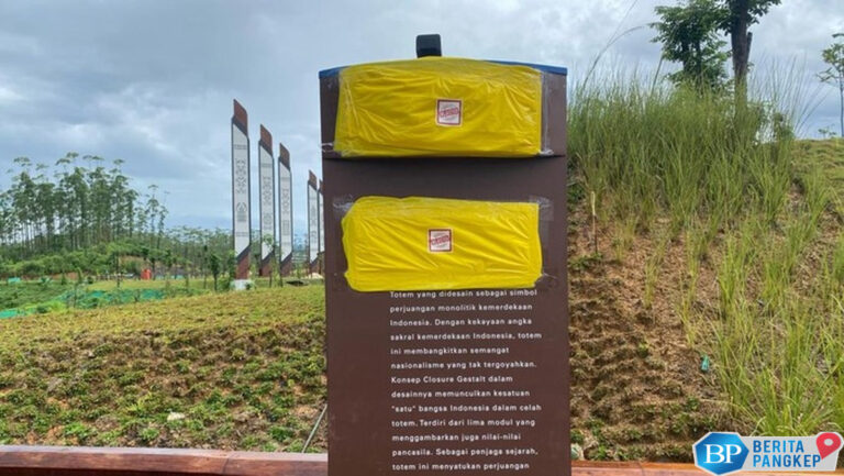 satgas-pembangunan-ikn-tiba-tiba-dibubarkan-ternyata-ini-alasannya