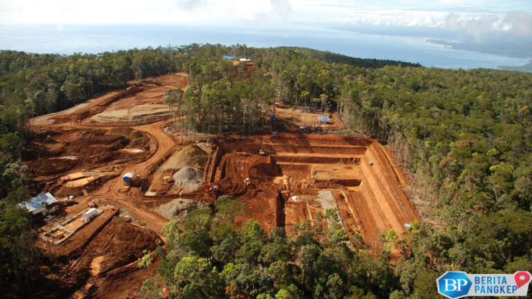 tak-cuma-china-ri-gaet-perusahaan-prancis-investasi-hilirisasi