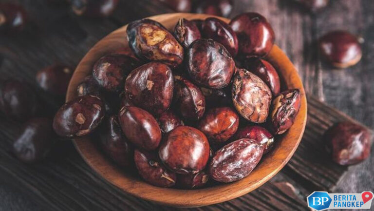 aroma-jengkol-ri-sampai-jepang-dan-arab-saudi