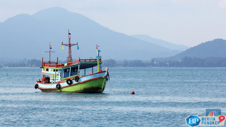 bikin-terkejut-ahli-temukan-ikan-tengkorak-mirip-panda-di-laut