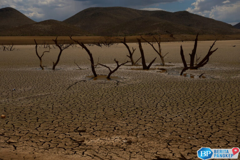 bmkg-ungkap-kapan-puncak-musim-kemarau