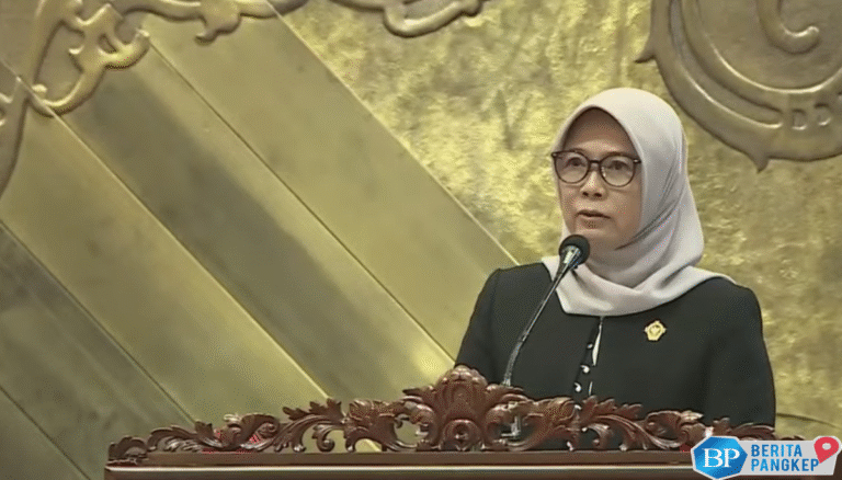 bpk-temukan-masalah-data-setoran-pajak-dalam-lapkeu-pemerintah