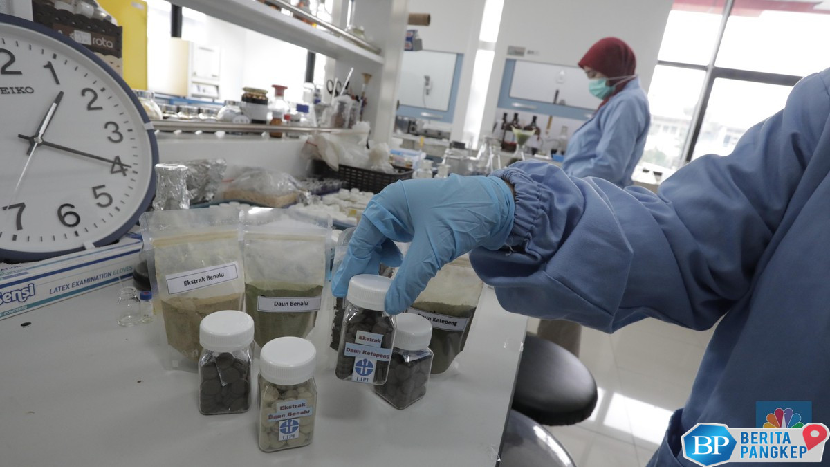 cek-dulu-sebelum-beli-bpom-rilis-obat-herbal-yang-bikin-rusak-ginjal