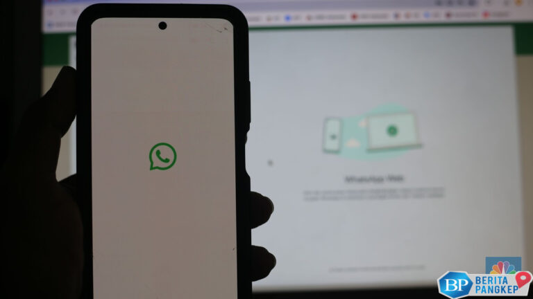 ciri-ciri-nomor-whatsapp-anda-diblokir-oleh-orang-lain