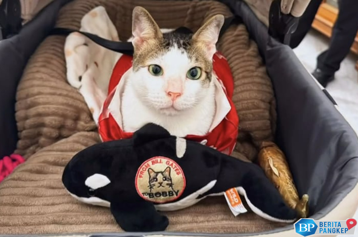 deretan-pemimpin-negara-yang-punya-peliharaan-kucing-ada-bobby