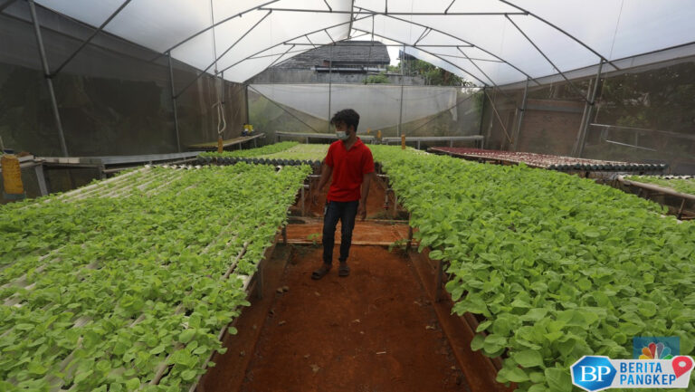 dunia-terancam-kiamat-nuklir-tanaman-ini-bisa-jadi-penyelamat