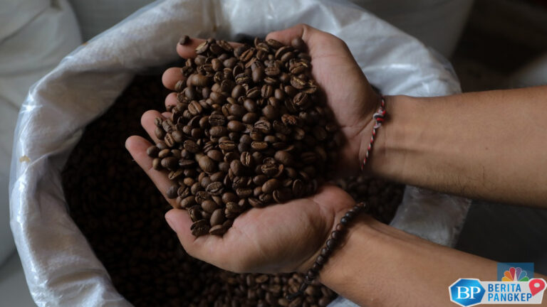 ekspor-kopi-indonesia-sulit-saingi-brasil-vietnam-apa-alasannya