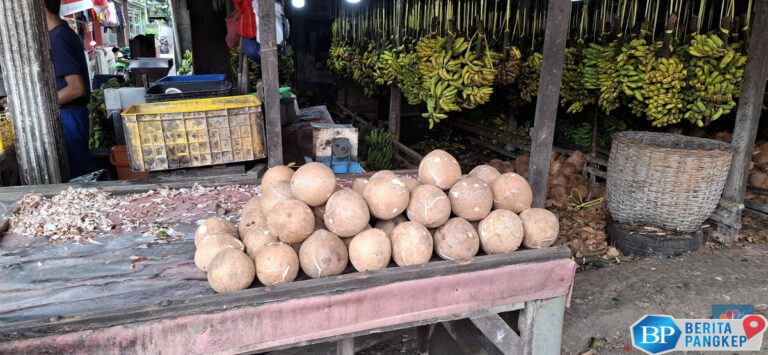 harga-kelapa-parut-di-pasar-ini-turun-pedagang-ungkap-hal-tak-terduga