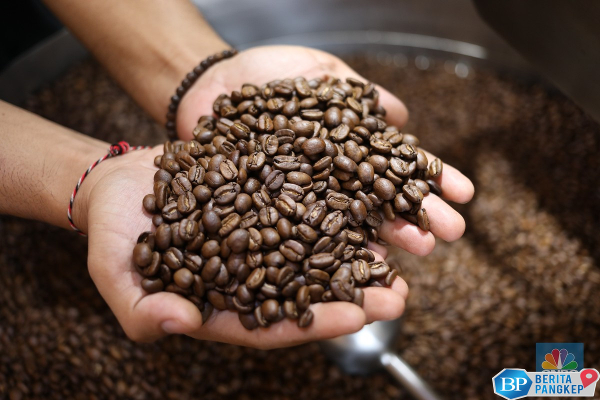harga-kopi-dunia-ambruk-petani-di-ri-makin-merana