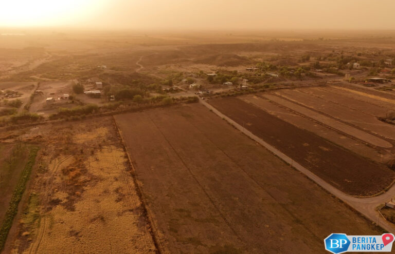 ilmuwan-sampai-kaget-suhu-bumi-bisa-segini-5-tahun-lagi