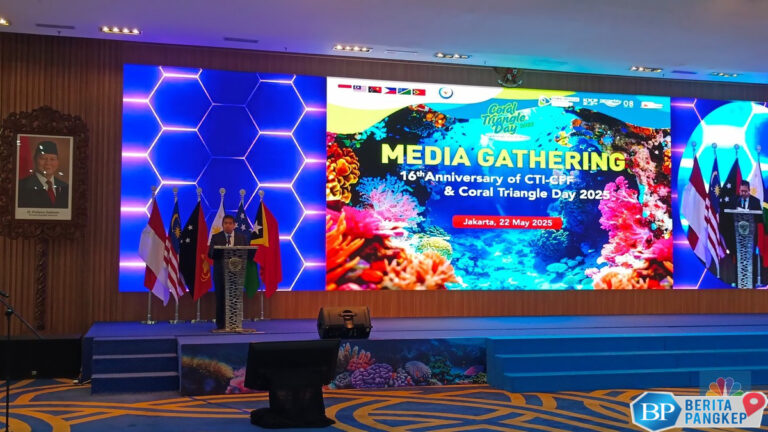 karang-mati-ternyata-bisa-hidup-lagi-buktinya-ada-di-bali