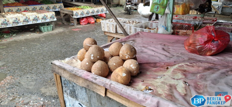 kelapa-asal-ri-dicap-pohon-surga-diburu-orang-eropa-karena-sakti