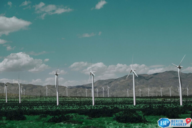 kupas-tuntas-peluang-bisnis-keberlanjutan-di-indonesia