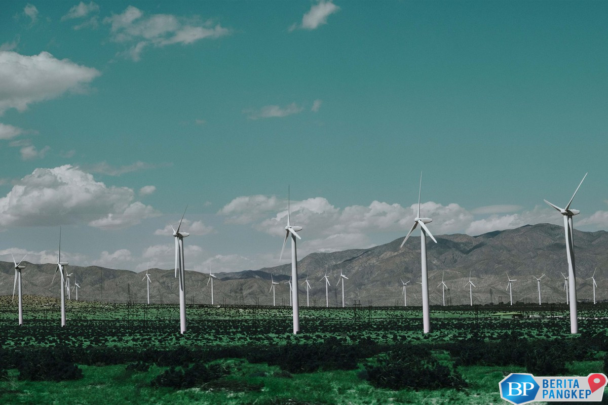 kupas-tuntas-peluang-bisnis-keberlanjutan-di-indonesia