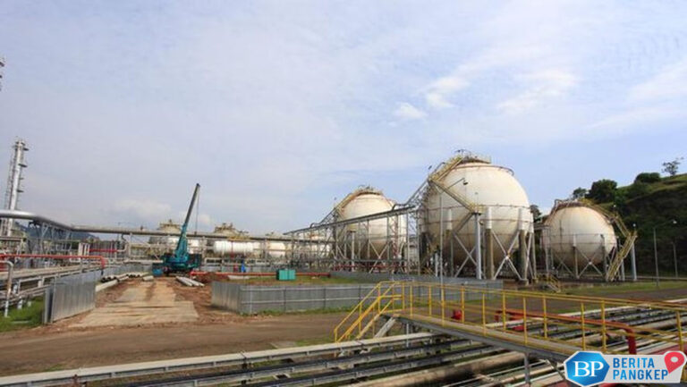 laba-emiten-prajogo-barito-pacific-brpt-naik-826-di-kuartal-i-2025