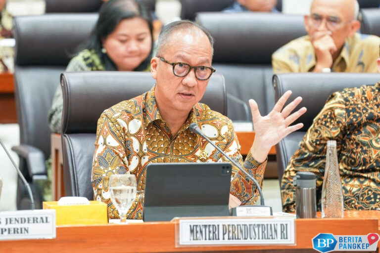 menperin-bantah-deindustrialisasi-landa-ri-sentil-ekonom-buka-data