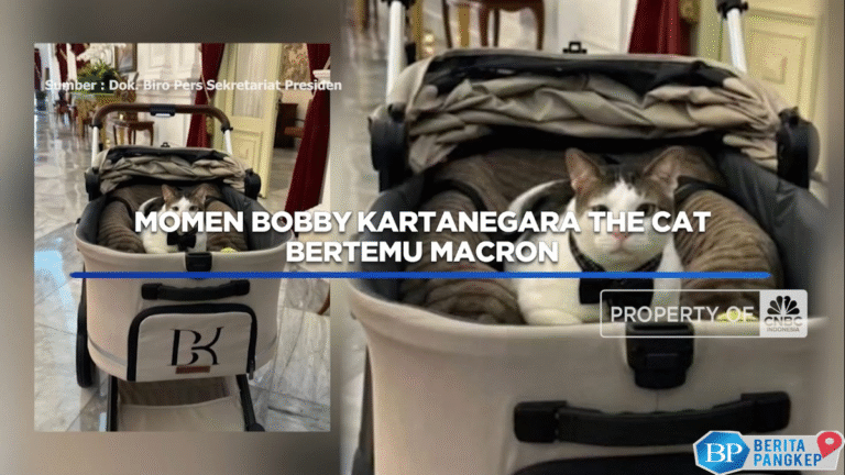 momen-bobby-kartanegara-the-cat-bertemu-macron