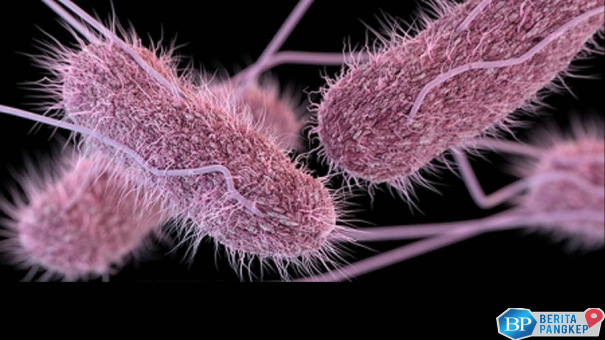 nasa-temukan-26-spesies-baru-di-lokasi-tak-terduga