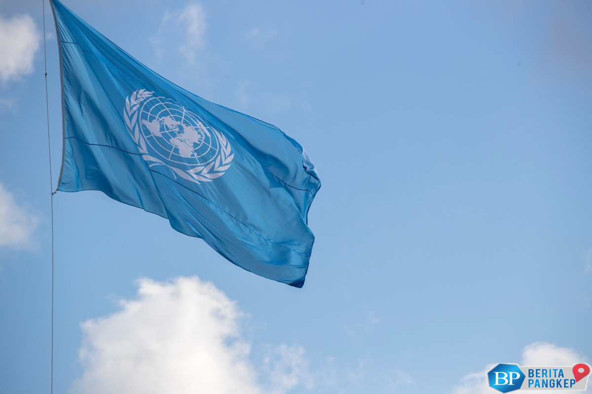 pbb-dihantam-krisis-keuangan-gegara-as-nunggak-siap-phk-besar-besaran