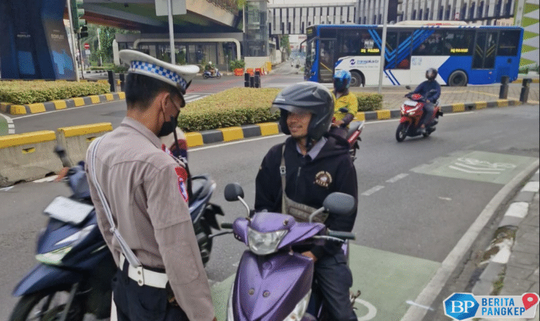 pelat-kendaraan-ini-jadi-incaran-polisi-awas-kena-tilang-di-jalan