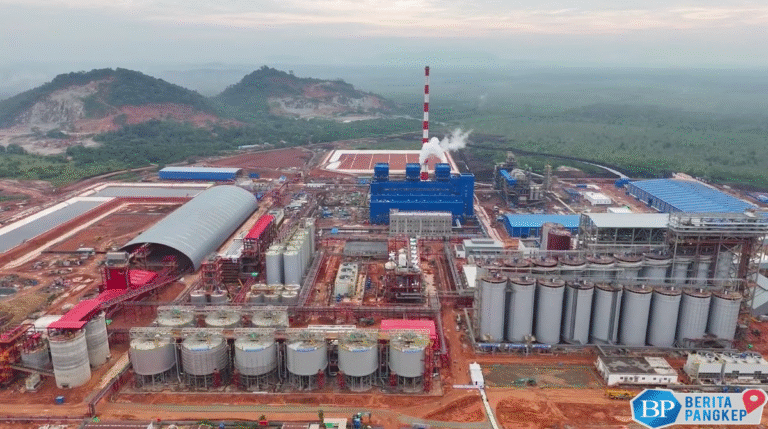 pemerintah-dan-pelaku-usaha-siapkan-akselerasi-industri-alumina