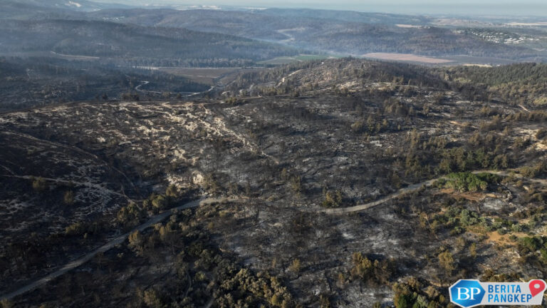 penampakan-terkini-israel-yang-hangus-digulung-kebakaran-terbesar