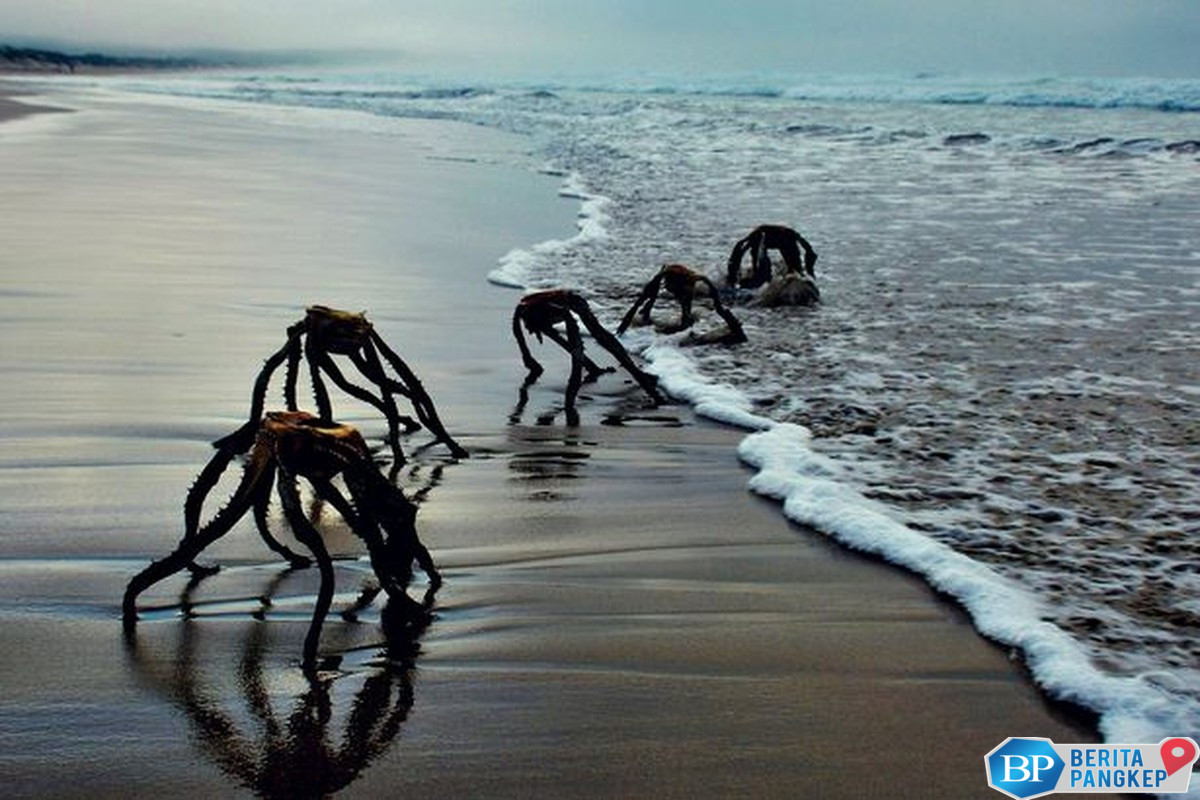 peneliti-harvard-temukan-bukti-baru-teknologi-alien-sampai-ke-bumi