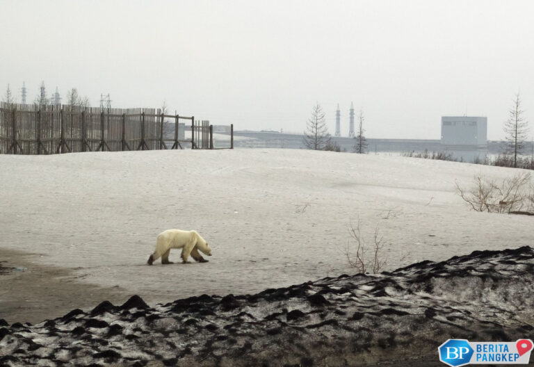 peneliti-teriak-tanda-kiamat-putih-berubah-jadi-biru