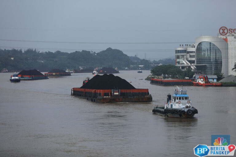 pesta-batu-bara-seperti-mimpi-harga-langsung-ambles-dalam-2-hari
