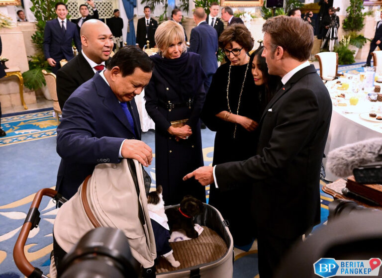 potret-kucing-prabowo-curi-perhatian-di-jamuan-presiden-prancis