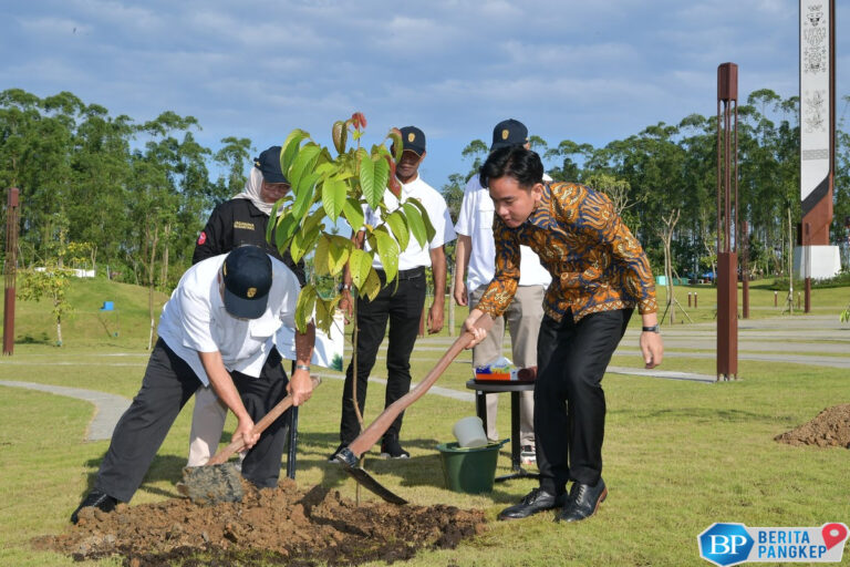 potret-wapres-gibran-tanam-pohon-ulin-dan-kapur-di-ikn