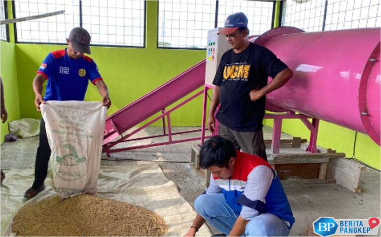 program-desa-energi-berdikari-pertamina-dorong-produksi-pangan-desa