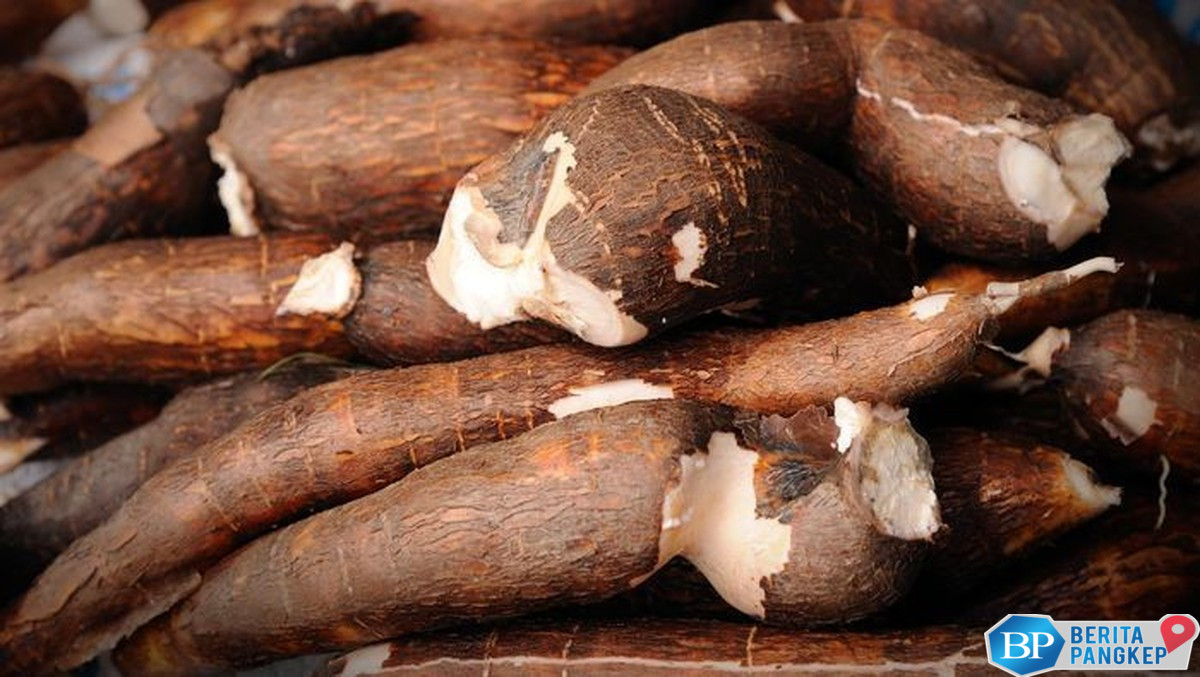 ri-bakal-setop-impor-singkong-wamentan-blak-blakan-bilang-gini