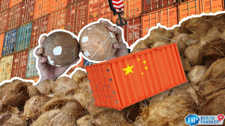 ri-krisis-kelapa-parut-gara-gara-china-pedagang-cuma-jual-barang-sisa
