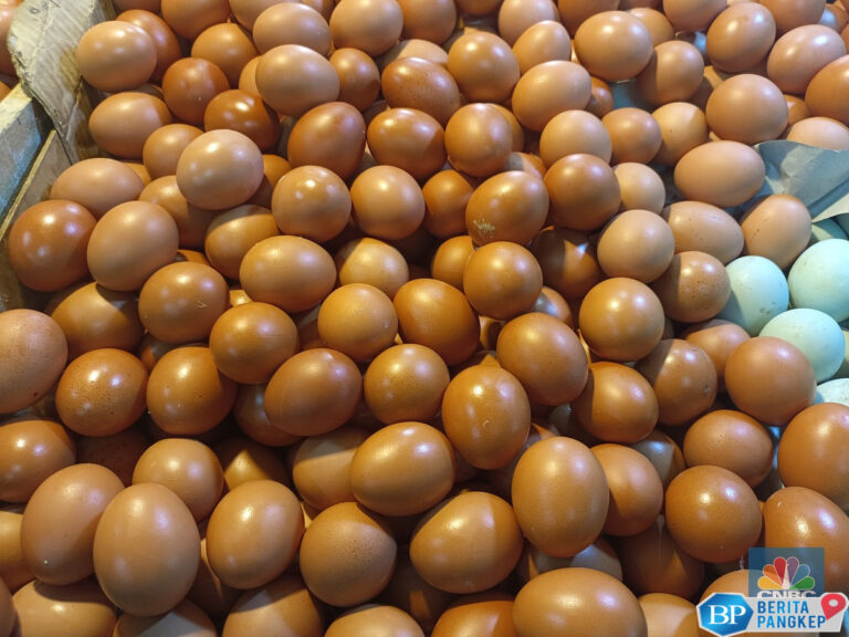 telur-ayam-vs-telur-bebek-mana-yang-tinggi-kolesterol