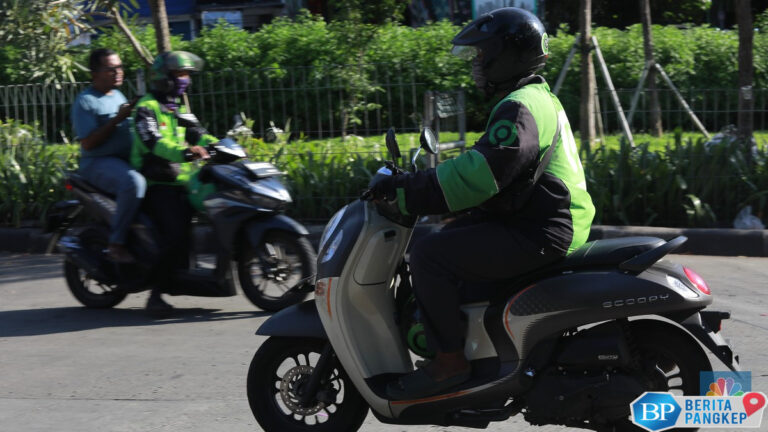 terungkap-86-juta-warga-ri-kerja-jadi-driver-ojol-hingga-pedagang