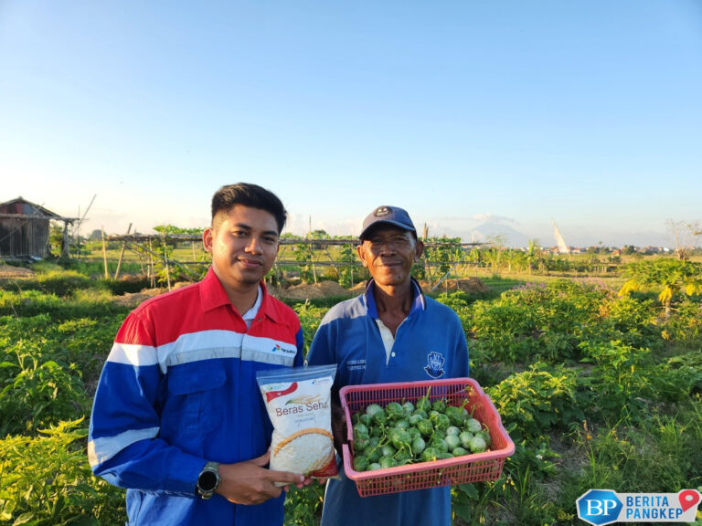 top-pertamina-dorong-kesejahteraan-408-petani-di-desa-uma-palak