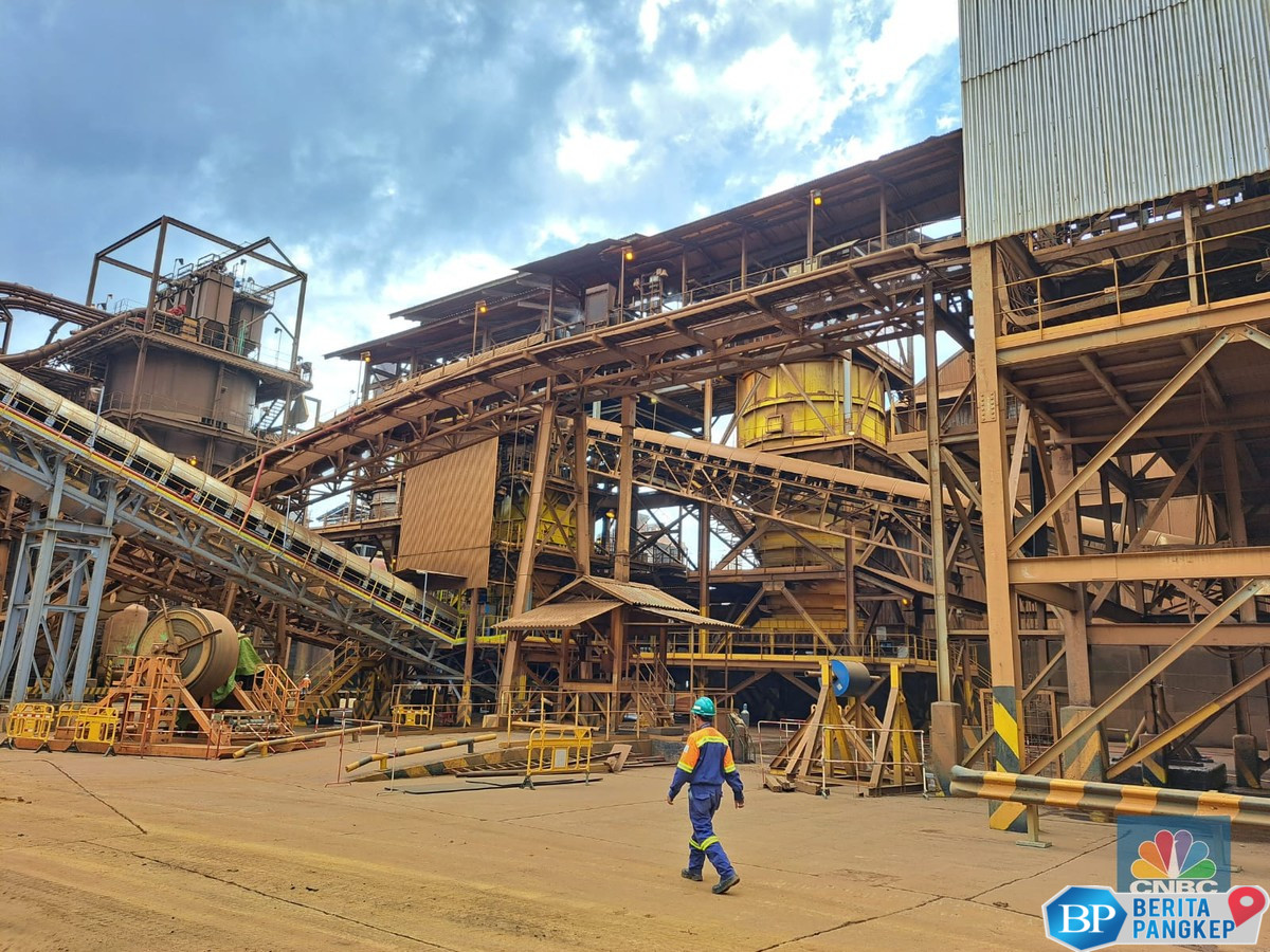 vale-inco-bagikan-dividen-60-dari-laba-2024-setara-rp-5693-miliar