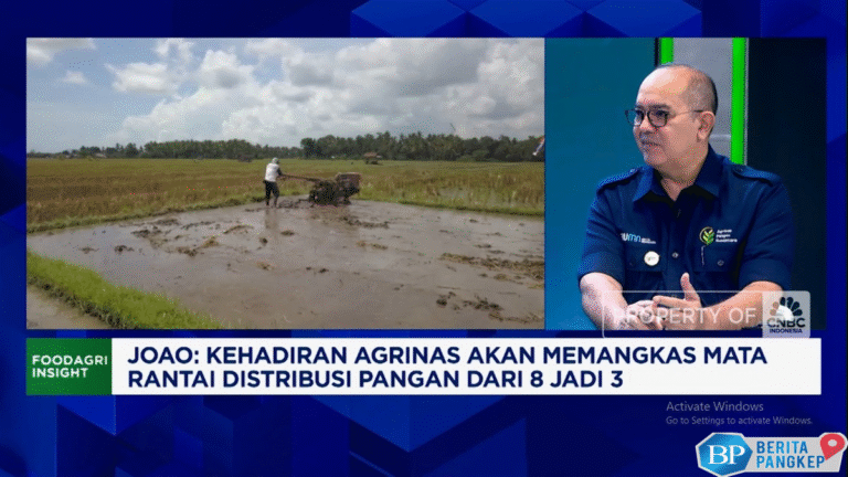 video-agrinas-bantu-petani-lawan-mafia-dan-pangkas-distribusi-pangan